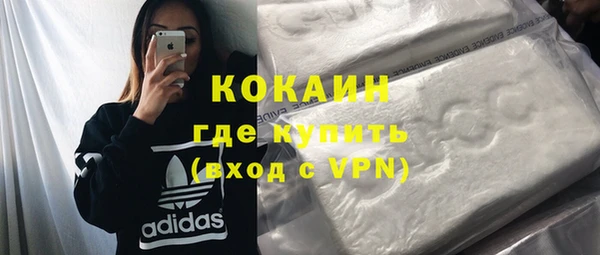 ALPHA PVP Няндома