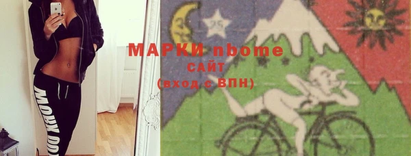 сатива Новодвинск
