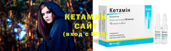 сатива Новодвинск