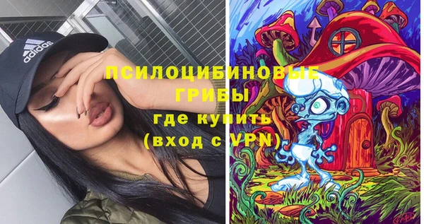 гашик Нязепетровск