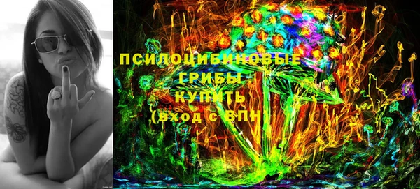 ALPHA PVP Няндома