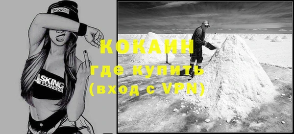 ALPHA PVP Няндома
