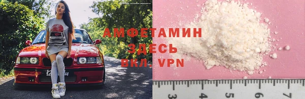 сатива Новодвинск