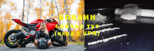 ALPHA PVP Няндома