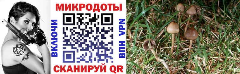 mega ONION  Красноуральск  Псилоцибиновые грибы прущие грибы 