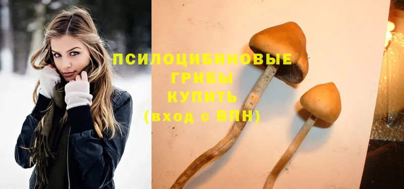 Галлюциногенные грибы Magic Shrooms  Красноуральск 